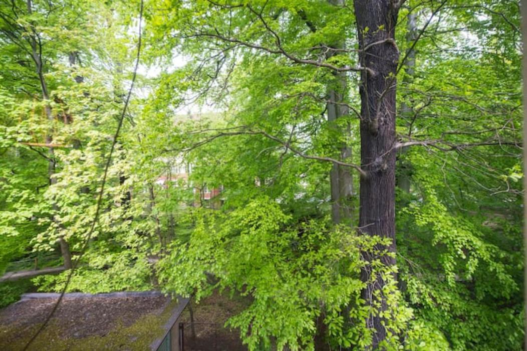 Citystay Willa Kosciuszki * Sopot